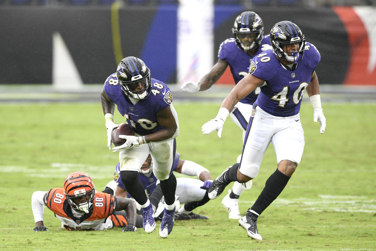 How Baltimore Ravens defensive backs crashed the sack party against the  Bengals 