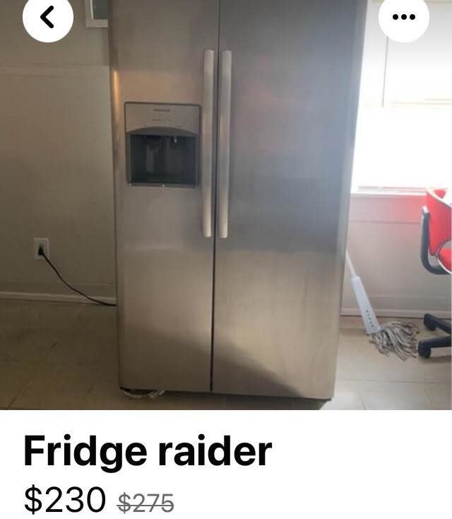 Product listing that reads, "Fridge raider"