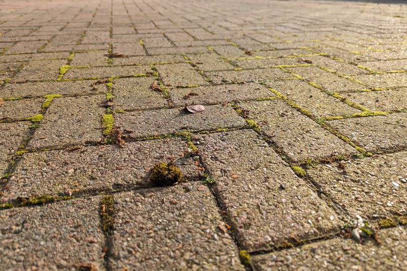 Most driveways and patios have a build-up of moss at this time of year