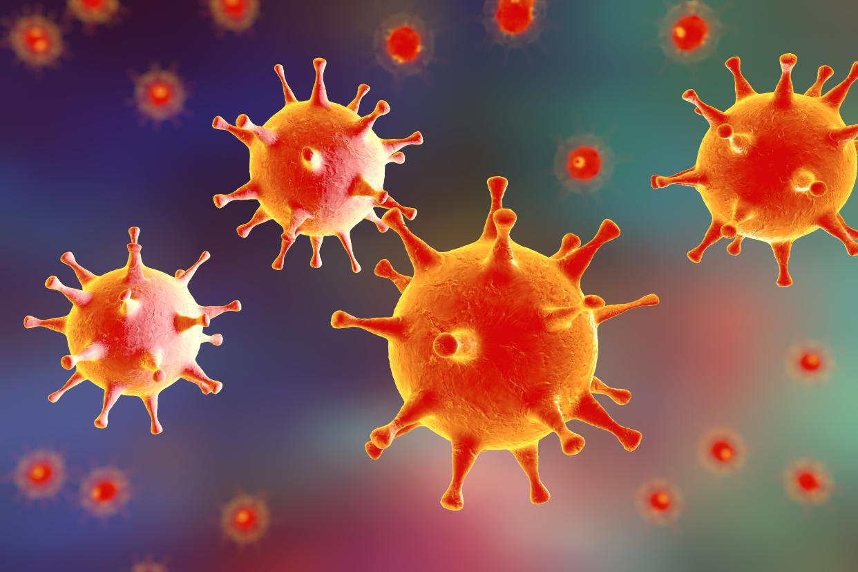 Ilustración del virus del Herpes Simplex en humanos (Getty)