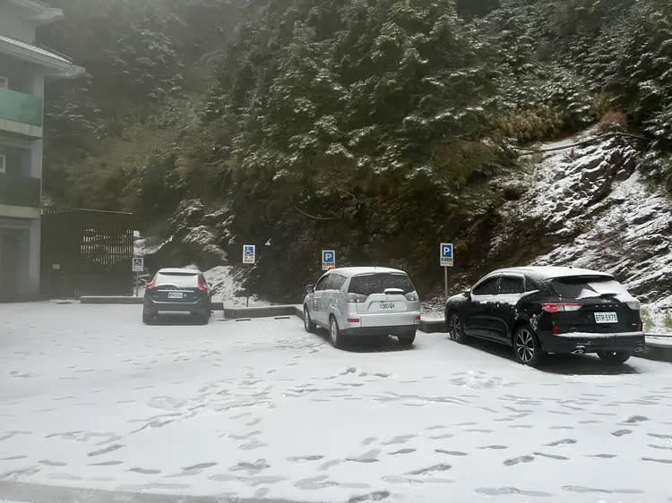 轎車車頂被白雪覆蓋。林業保育署南投分署提供