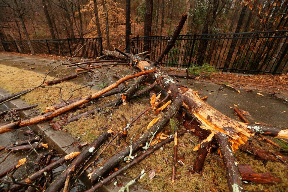 A downed tree at Columbia Brookside during storms in Athens on Tuesday, Jan. 9.