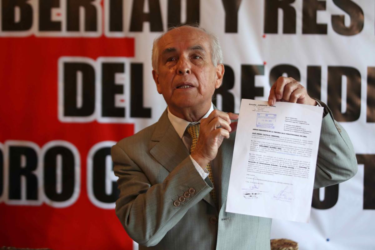 The Unconstitutional Dismissal of Peruvian President Pedro Castillo: Alleged State Plot and Legal Battle for Reinstatement