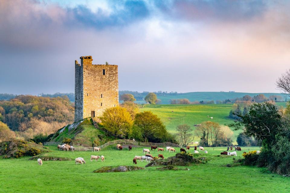 Carrigaphooca Castle in Ireland.