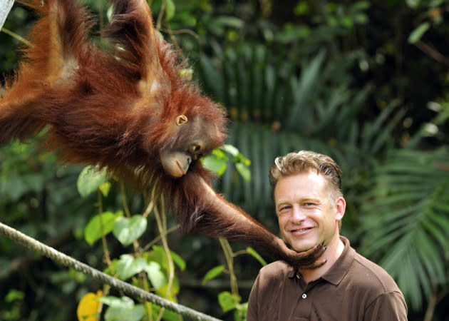 <b>Secrets Of Our Living Planet (Sun, 8pm, BBC2) </b><br><br> He’s a busy man, Chris Packham, the spearhead of the BBC’s apparent movement to make nature shows more jolly and accessible. We would much, much rather have Packham helming these things than Richard Hammond and Julia Bradbury, though, if that is the way the BBC are going to go once Sir David Attenborough finally calls it a day: he brings knowledge and passion rather than just perky “Wow, look at that” wonder. Also, he inserts song titles into his commentaries – he’s recently been peppering ‘Springwatch’ with David Bowie references. In this new series, he looks at the complex, mutually dependent relationships between different animals and plants in some of the world’s most breath-taking ecosystems. He starts in the Panama rainforests to meet a three-toed sloth, and then heads to Brazil to see how brazil nut trees, rodents, orchids and bees are all in it together. You don’t need us to tell you their one common, most deadly enemy: man.