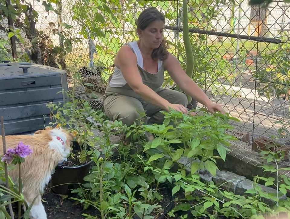 This photo shows Theresa Fiumano-Rhatigan in her Brooklyn garden on Aug. 8, 2022. The seasoned home gardener relies on family members to care for her garden when she’s away for extended periods. (Kerry Butts via AP)