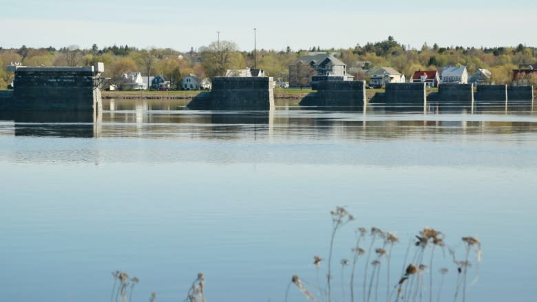 Fredericton shoots down idea of 2nd walking bridge after price tag hits $45M