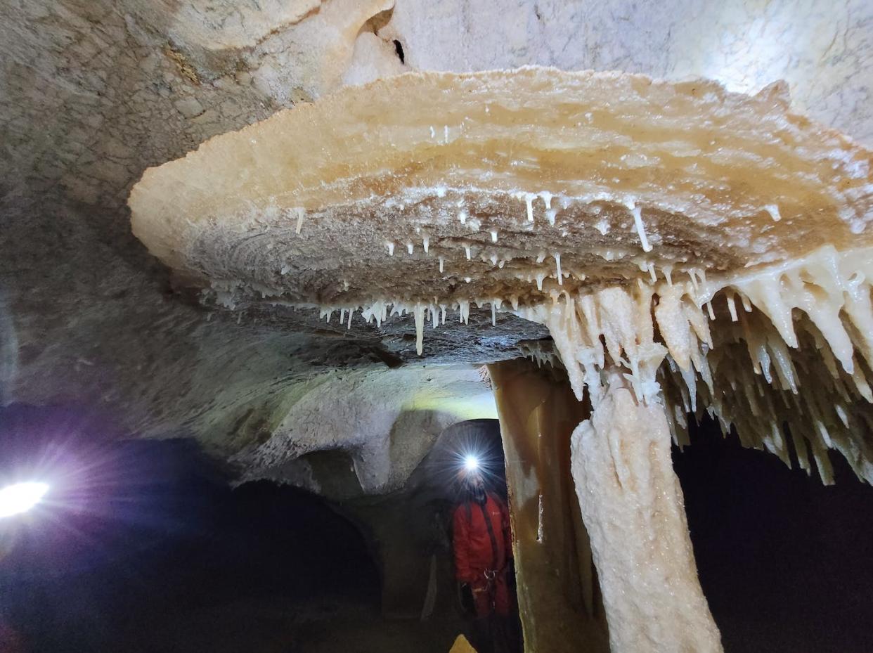 Disco o escudo de grandes dimensiones en la Cueva de las Estegamitas (La Araña, Málaga) Author provided