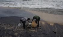 Sri Lankan wild life workers prepare to remove decomposed remains of a turtle lies on a beach polluted following the sinking of a container ship that caught fire while transporting chemicals off Kapungoda, outskirts of Colombo, Sri Lanka, Monday, June 21, 2021. X-Press Pearl, a Singapore-flagged ship sank off on Thursday a month after catching fire, raising concerns about a possible environmental disaster. (AP Photo/Eranga Jayawardena)