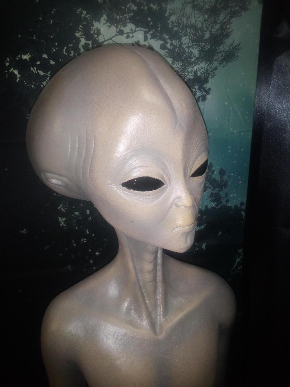 An alien on display at the newly opened Education Earth Museum in Athol.