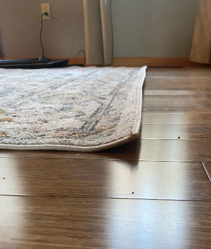 A textured rug is slightly lifted on one corner, revealing the hardwood floor underneath and contributing to a potential tripping hazard