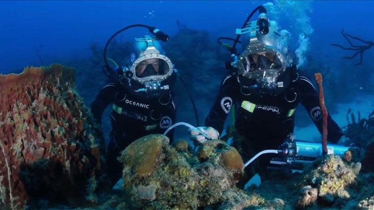 Cousteau says that 31 days of submersion offered as much scientific data as two years of surface dives.