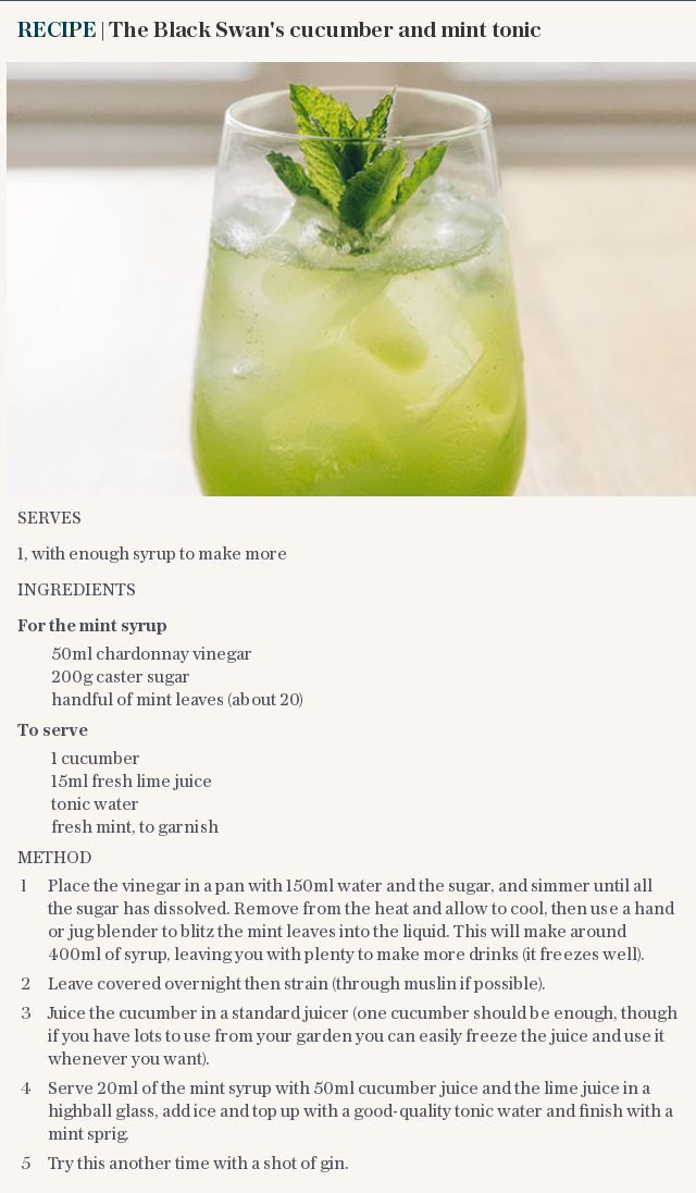 RECIPE | The Black Swan's cucumber and mint tonic