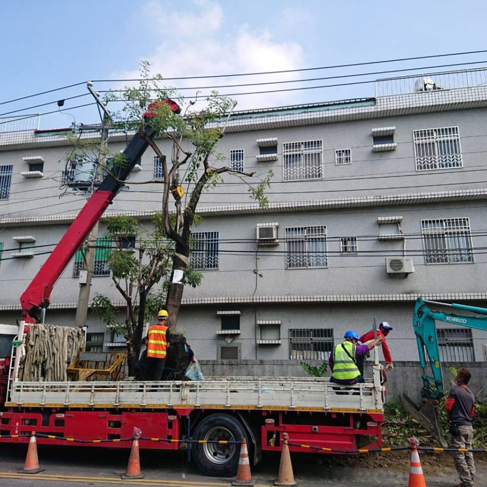 保安車站旁的四棵路樹在仁德成功里長鄭晴而媒合下，妥善移置武德宮。 （記者張淑娟攝）