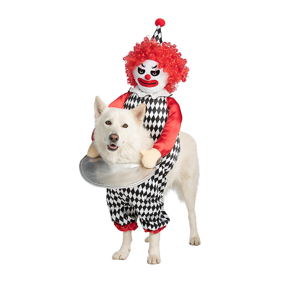 scary clown costume for dogs