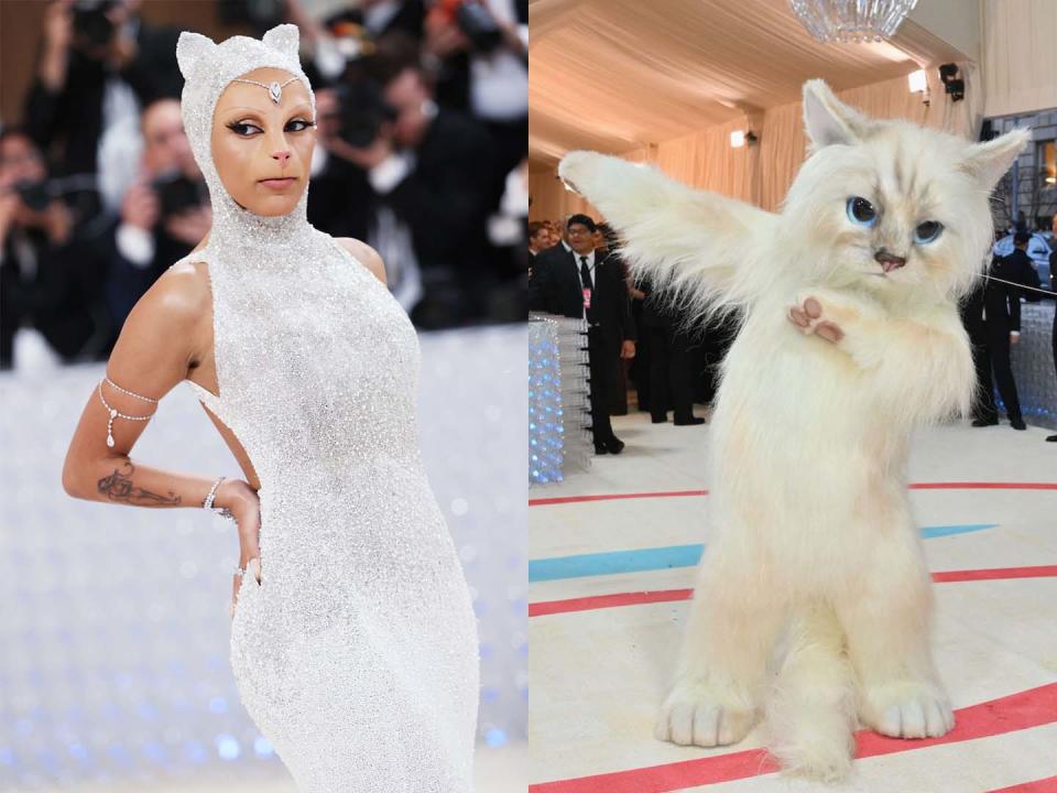 Here’s Why So Many Celebrities Dressed Up Like a Cat for the Met Gala