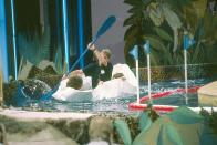Siegfried und Roy glaubten an sie: Andrea Schager, Andreas Reiser und Monika Schrak wetteten 1990, dass sie in vier Minuten ein Papierboot falten und mit diesem 50 Meter im Schwimmbad fahren können. Auch sie schafften es. (Bild: ZDF / Renate Schäfer)