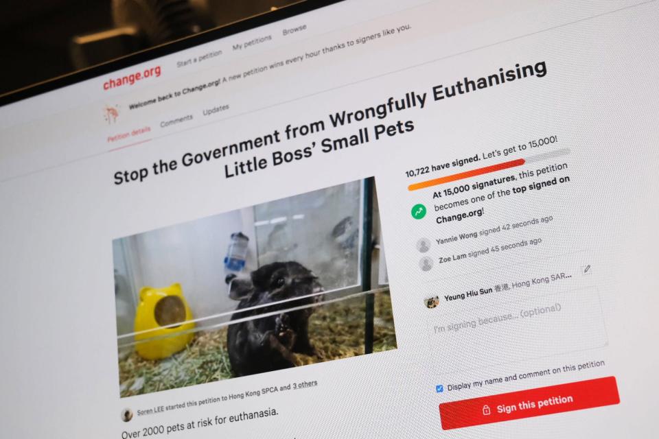 The change.org petition titled “Stop the Government from Wrongfully Euthanizing Little Boss' Little Animals”.  Photo: SCMP