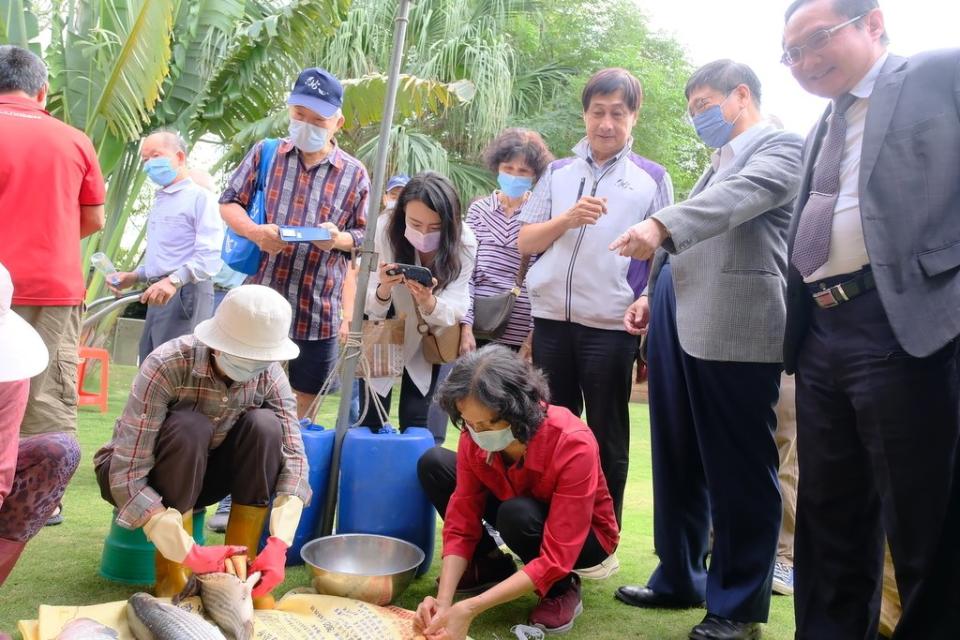 《圖說》新竹漁民現場示範如何取出烏魚子。（圖／新竹縣政府提供）
