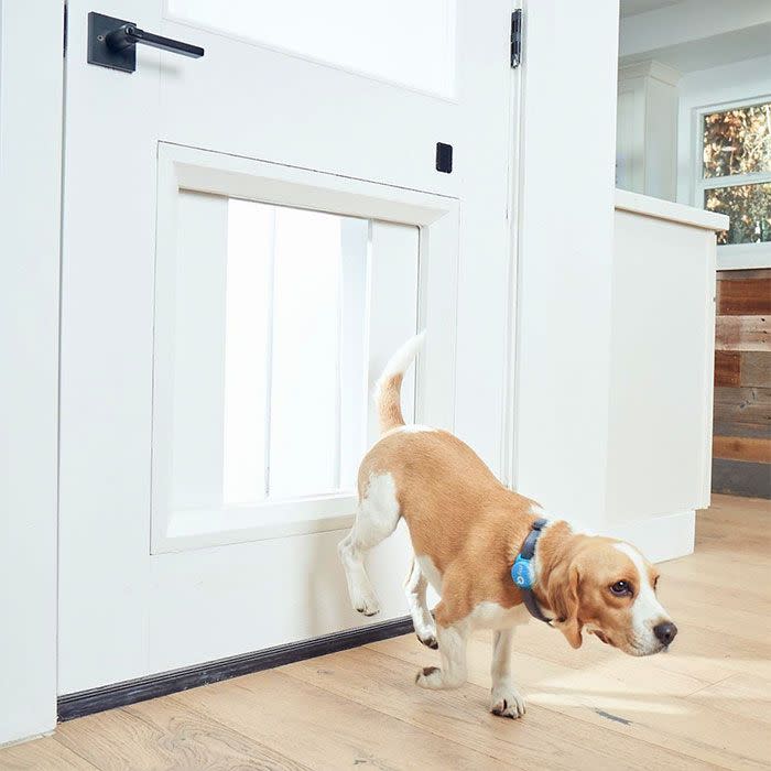 16) Best New Pet Tech: LiftMaster MyQ Pet Portal