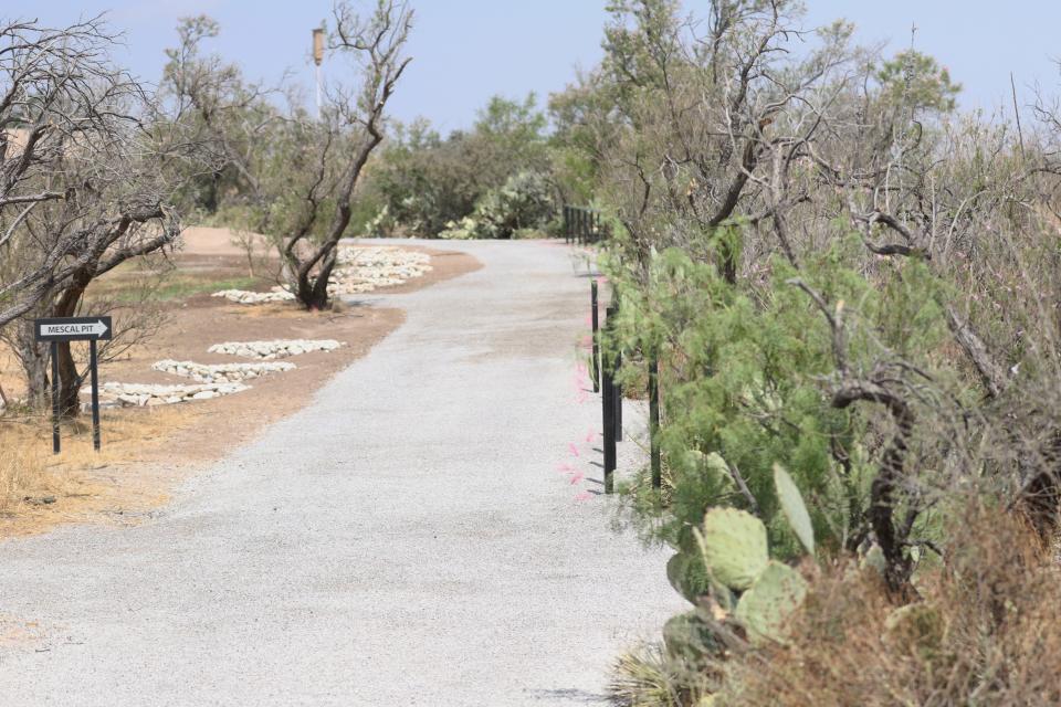 A trail at Living Desert Zoo and Gardens State Park is pictured, June 1, 2022 in Carlsbad.