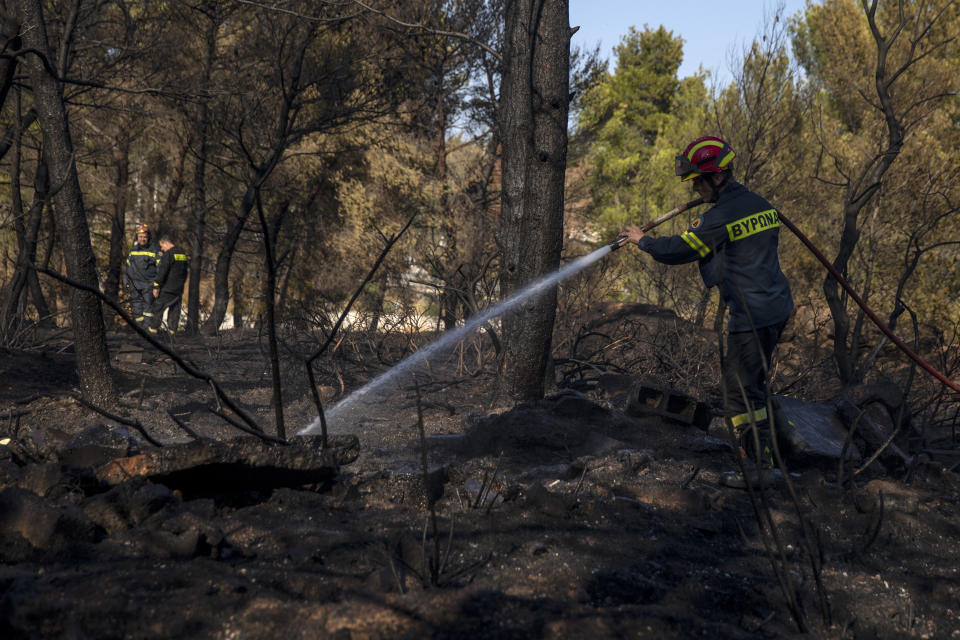 A firefighter hoses down a wildfire in the town of Rafina, near Athens, on Tuesday, July 23, 2019. A forest fire outside Athens is threatening homes on the anniversary of a deadly blaze in the same area that claimed more than 100 lives. (AP Photo/Petros Giannakouris)