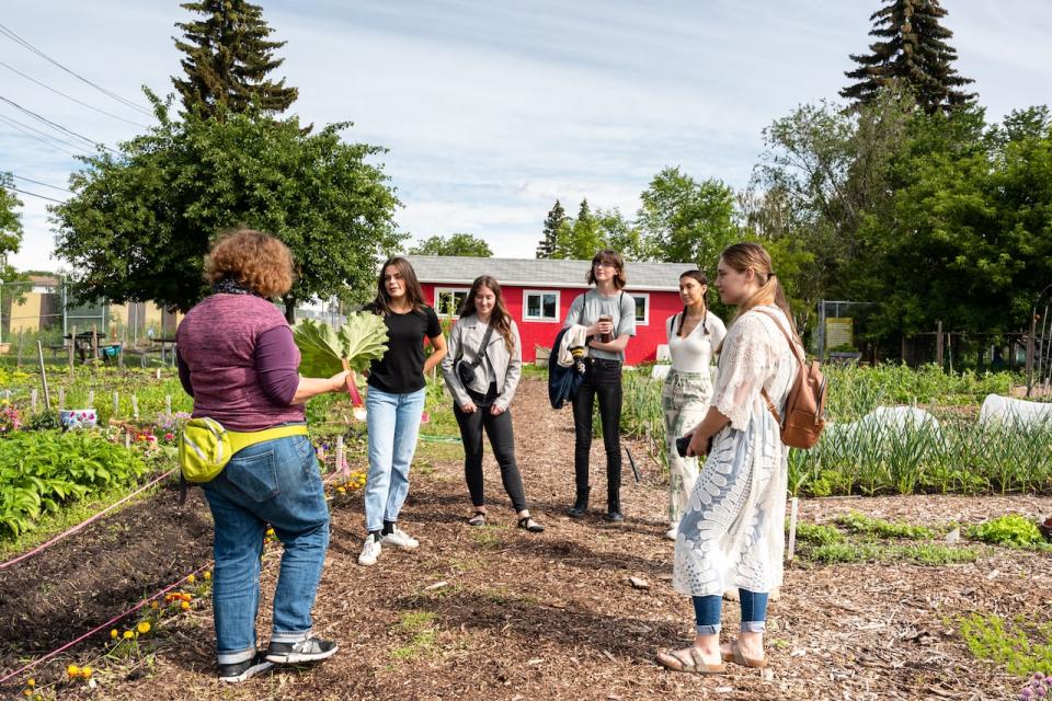 A group of women learning about urban farming at the Edmonton Urban Farm near Northlands. 