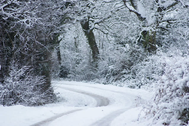 Snowy Road