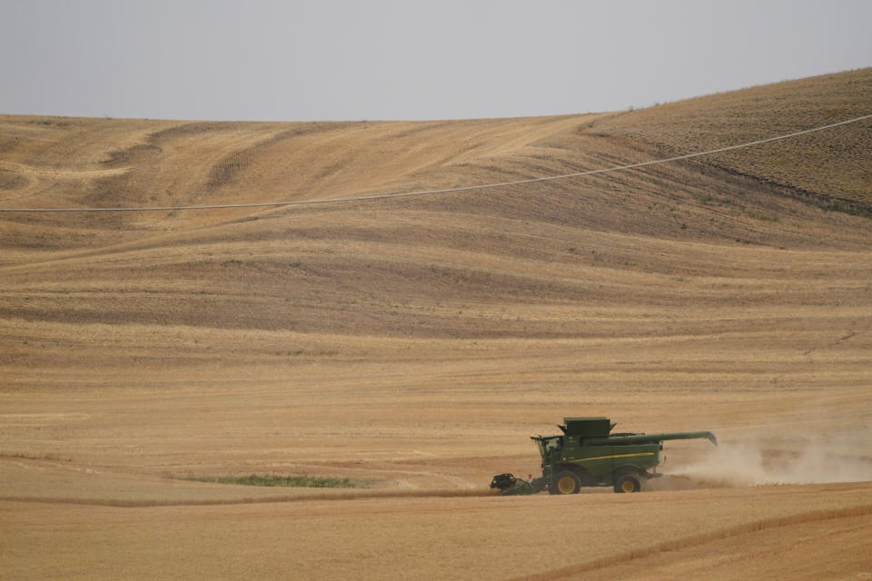 FILE - A combine harvests wheat, Aug. 5, 2021, near Pullman, Wash. How to prevent food insecurity and skyrocketing prices globally as Russia continues its war in Ukraine will be the marquee topic of discussion at the IMF and World Bank Spring Meetings in Washington. (AP Photo/Ted S. Warren, File)