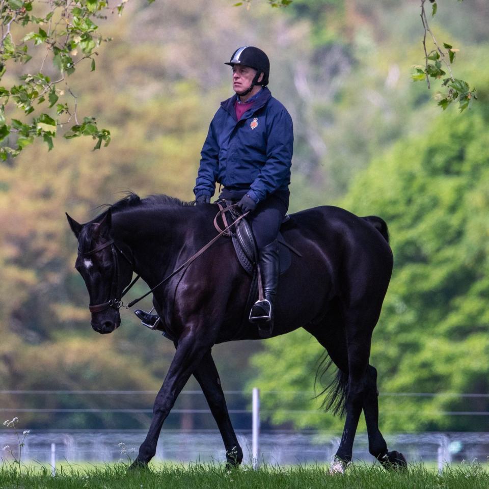 Prince Andrew in Windsor Great Park - Richard Gillard