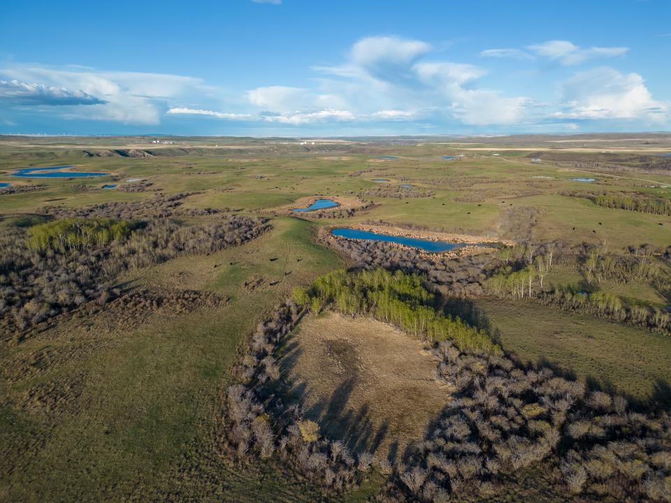 Yarrow, Alta. /Sean Feagan/Submitted