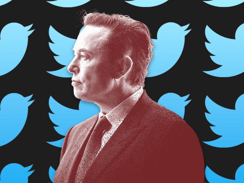 Elon Musk in front of Twitter Birds.