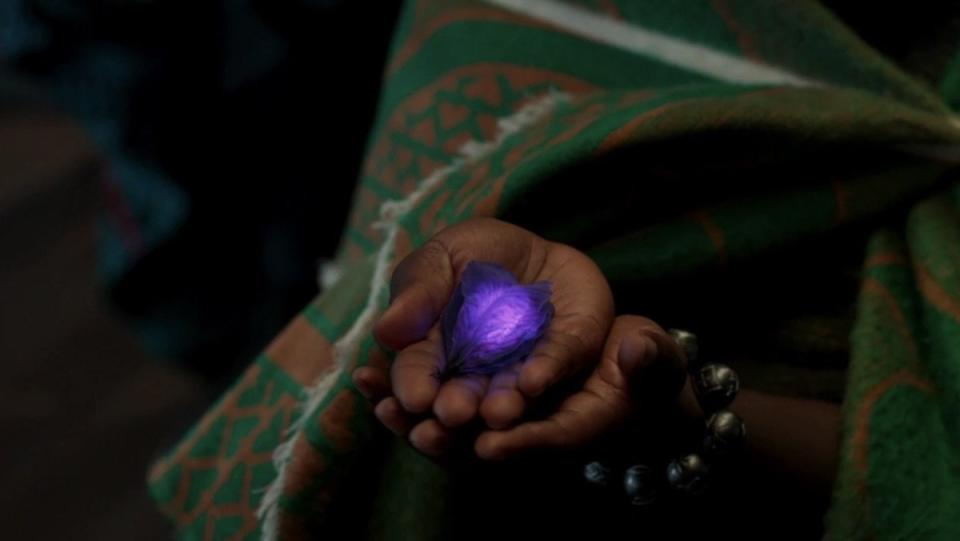 Someone holds the purple glowing Heart-Shaped Herb of Wakanda in Black Panther. Will the son of T'Challa have the powers of the herb?