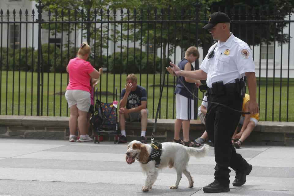 A Uniformed Division Secret Service police officer patrols with a dog on Pennsylvania Avenue in front of the White House in Washington, Wednesday, July 9, 2014. The Secret Service has started deploying specialized canine units to help protect the area around the White House grounds, where tourists flock day and night to catch a glimpse of 1600 Pennsylvania Ave. Although the Secret Service has used police dogs since 1976 to pre-screen areas for presidential visits, this is the first time theyâre being broadly deployed among the general public. (AP Photo/Charles Dharapak)