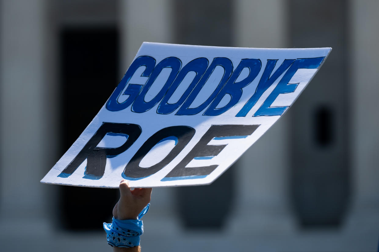 An activist holds up a sign reading: Goodbye Roe.