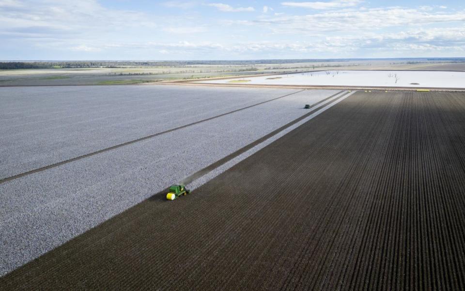 A cotton picker harvests the crop near the town of Goondiwindi in Queensland, Australia