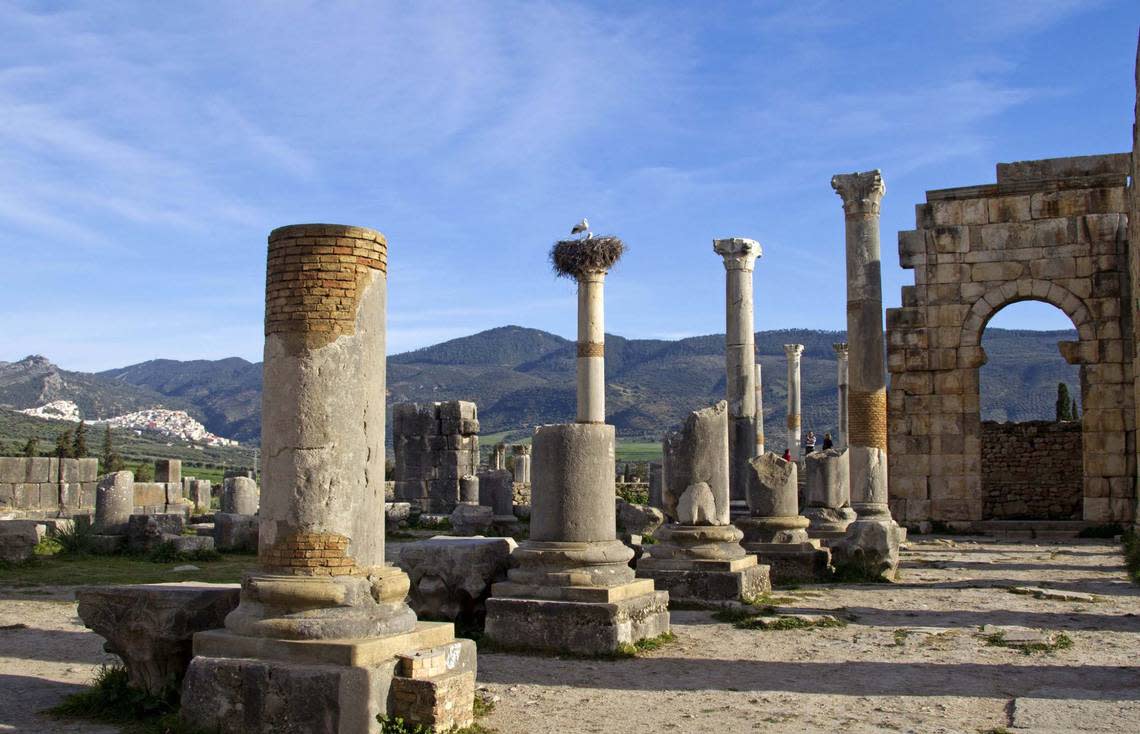 Pillars near the center of Volubilis, one of the best-preserved Roman sites in Morocco.