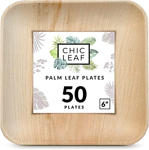 Chic Leaf Palm Leaf Disposable Plates (Amazon / Amazon)