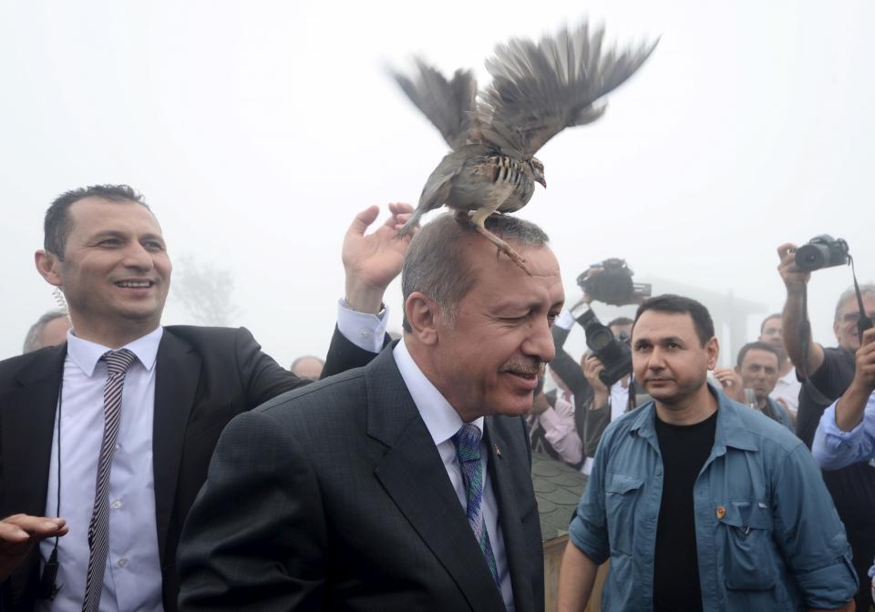 <p>A grouse sits on Turkish President Tayyip Erdogan’s head as he visits a facility of the Forest and Water Management Ministry in Rize, Turkey, August 14, 2015. (Stringer/Reuters) </p>