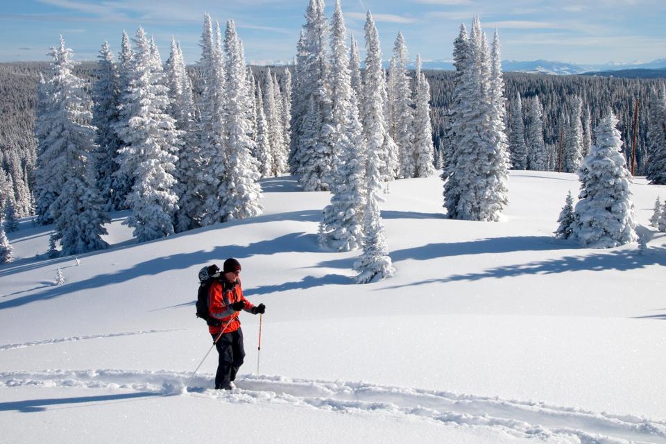 Man Hiking On Snow Covered Mountain in Steamboat Springs