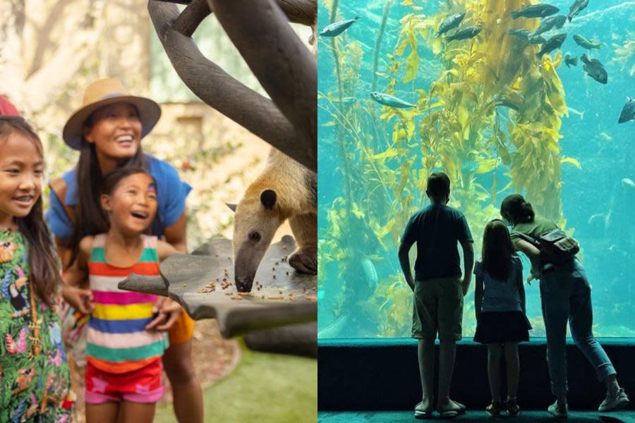 Kids Free en San Diego: Estos parques temáticos, museos, restaurantes y hoteles serán los participantes