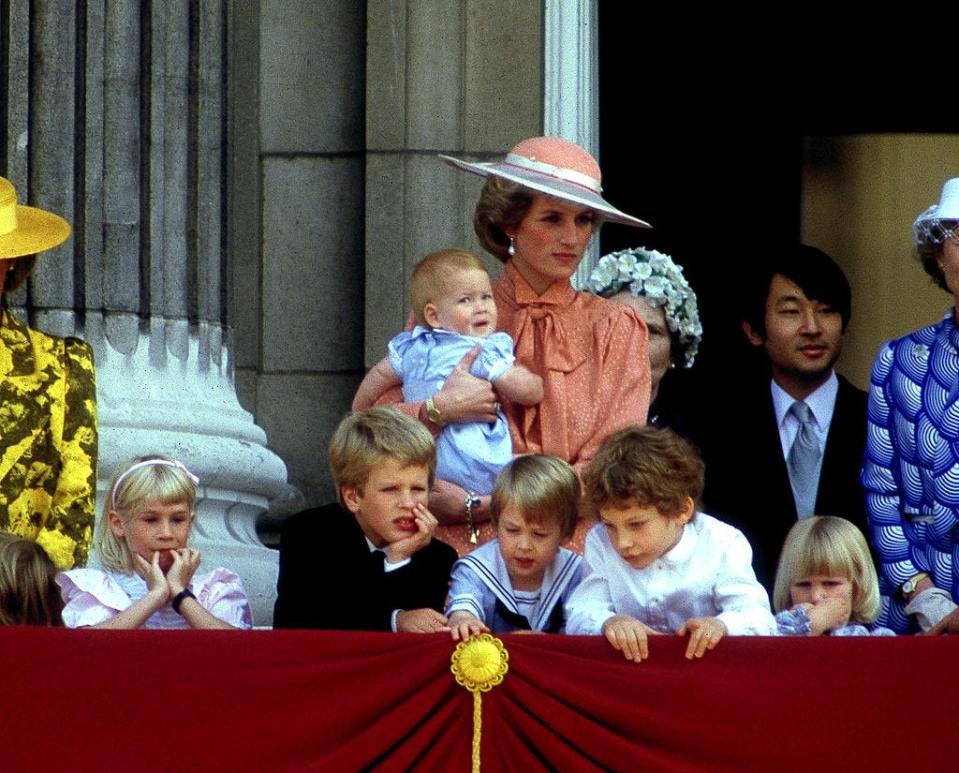 <p>Princess Diana holding Prince Harry.</p>