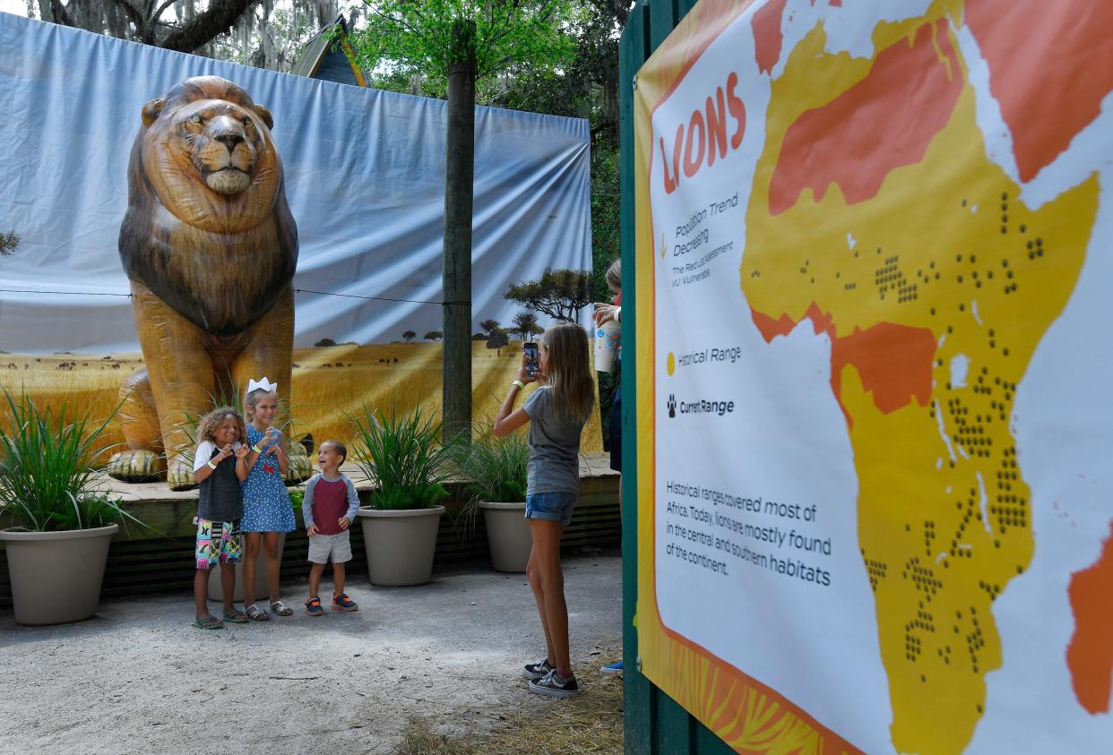 Children pose for photos at the oversized inflatable lion on display at the Jacksonville Zoo and Gardens. The Colossal Creatures exhibit will be at the zoo's Great Lawn through August.