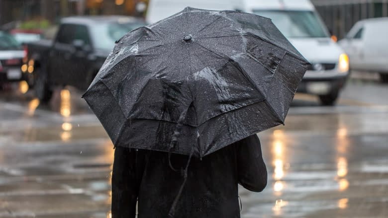 Ottawa weather forecast calls for — you guessed it — rain