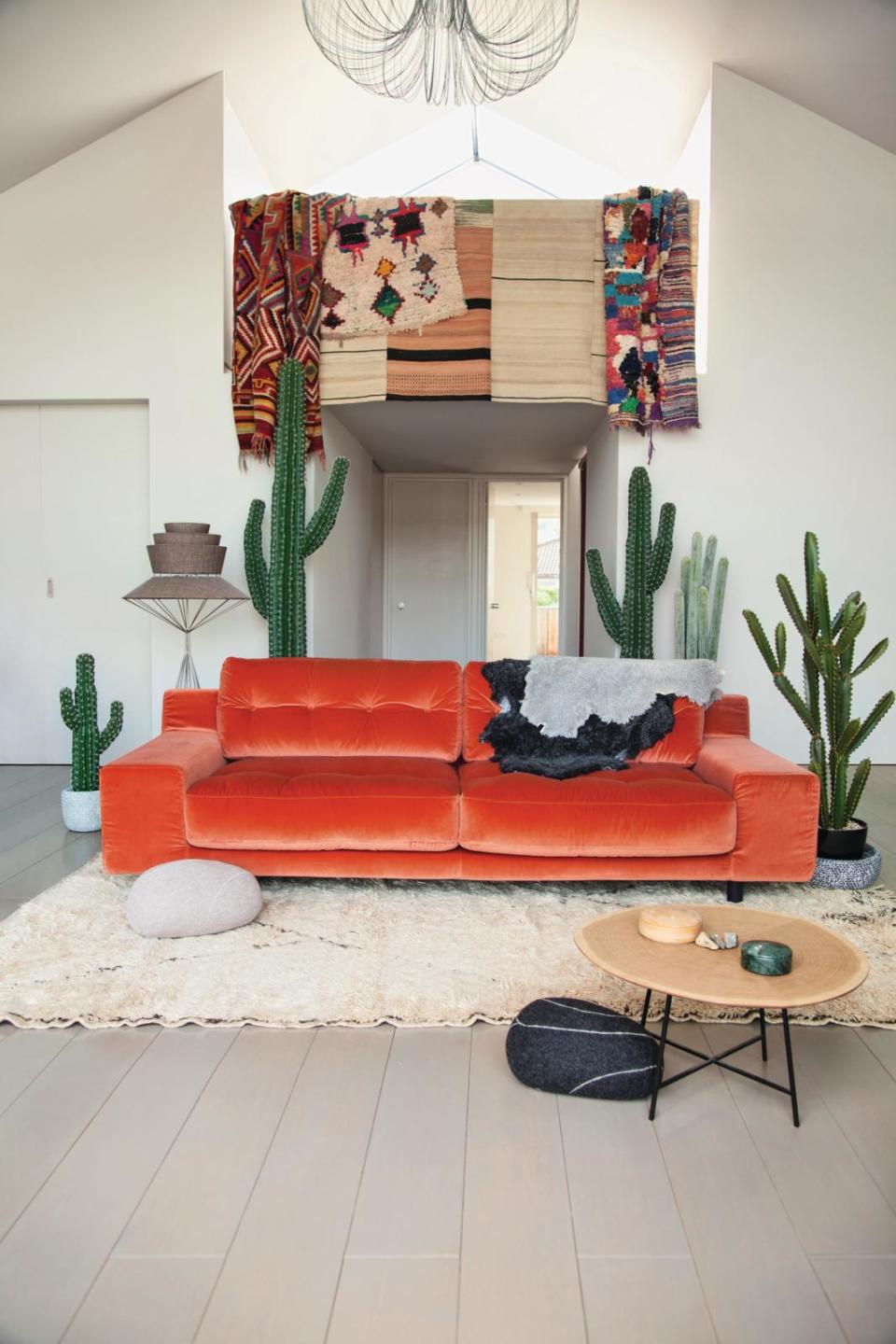 A living room with an orange sofa, with cacti surrounding it