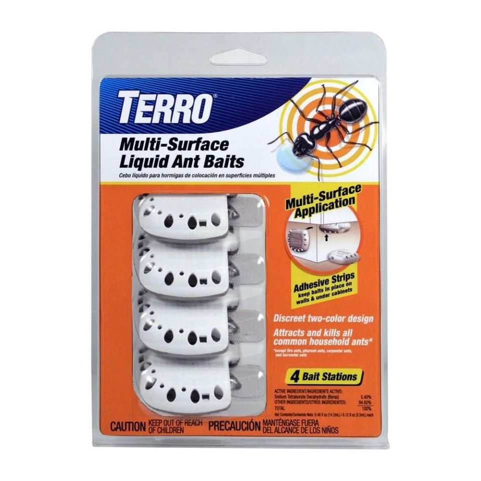 Terro Multi Surface Ant Baits with Adhesive Strips (Photo: Terro)