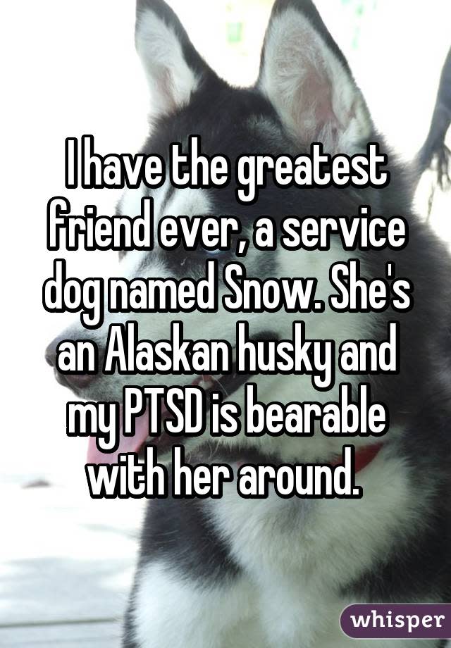 I have the greatest friend ever, a service dog named Snow. She's an Alaskan husky and my PTSD is bearable with her around. 