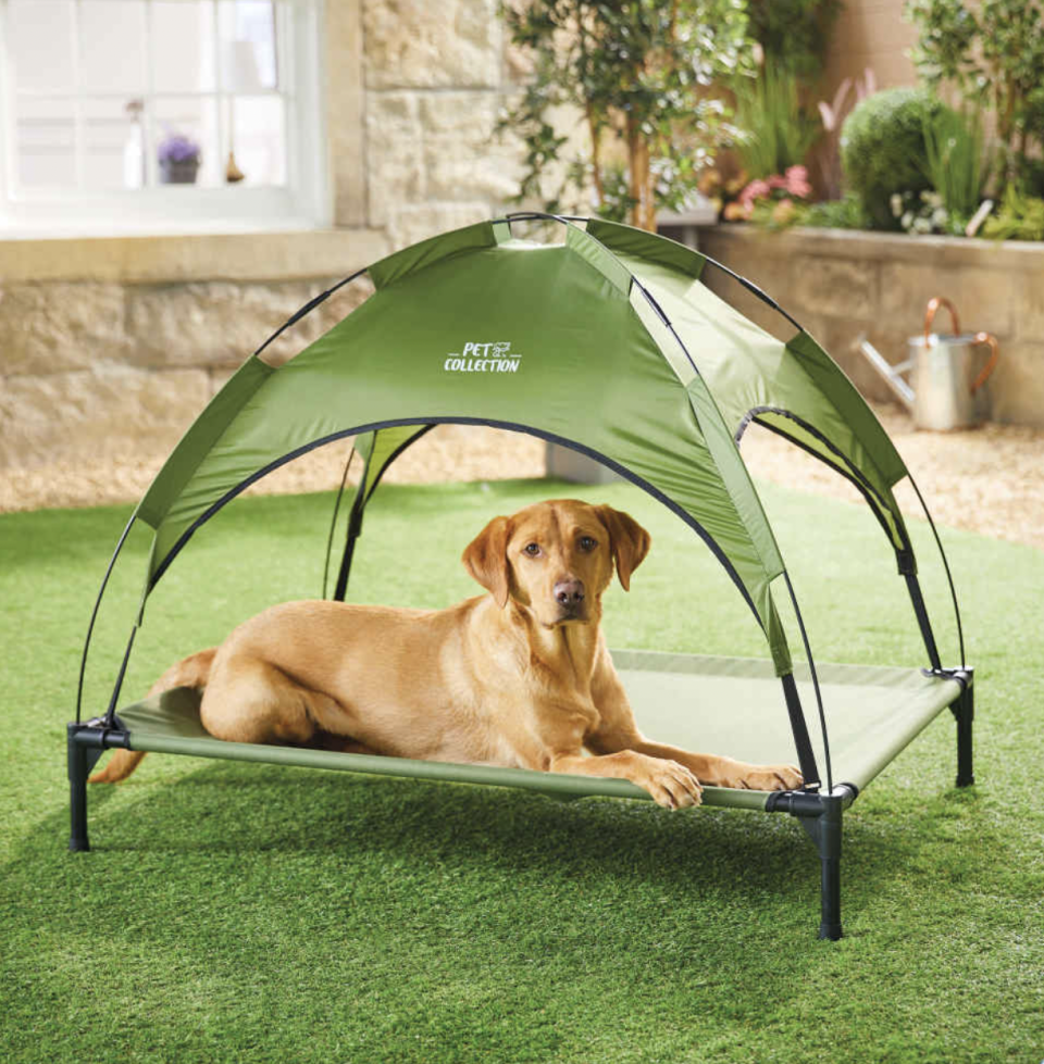 It's suitable for small and large dogs. (Aldi)