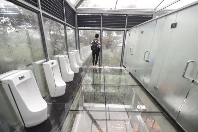 Tourist park in China opens toilet block made of GLASS