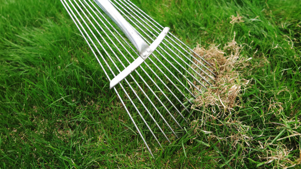 A lawn being dethatched